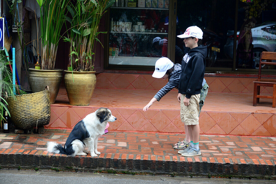 Children and dog in Luang Prabang, Laos, Asia