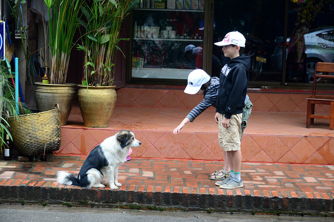 Kinder und Hund in Luang Prabang, Laos, Asien