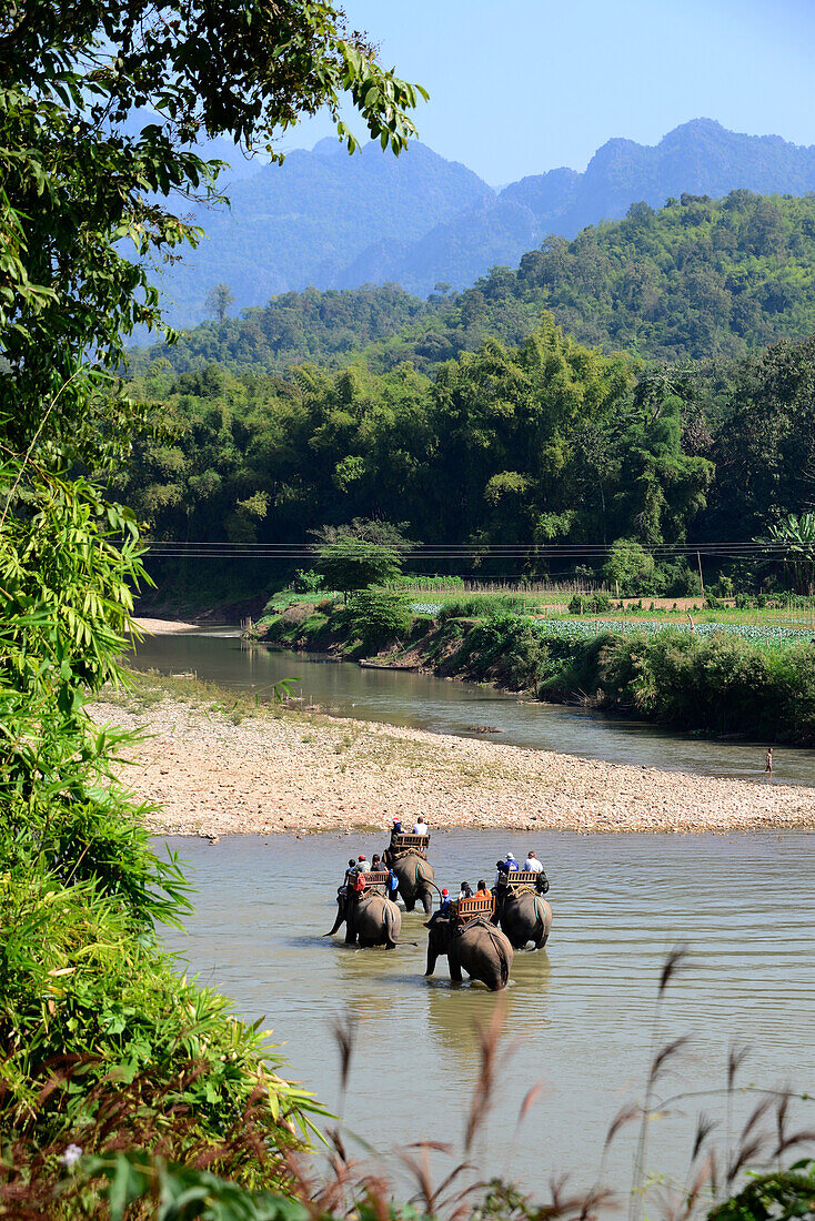 Elephant village in Bang Xang near Luang Prabang, Laos, Asia