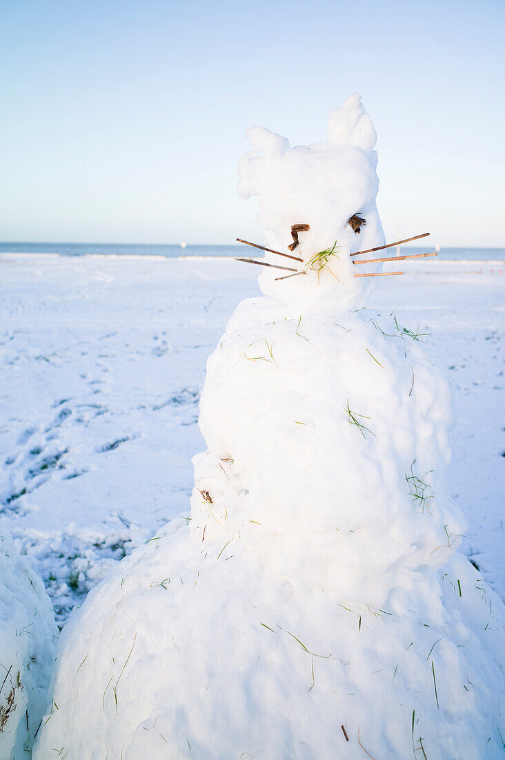 Schneekatze als Schneemann, Cuxhaven, Nordsee, Elbemündung, Niedersachsen, Deutschland