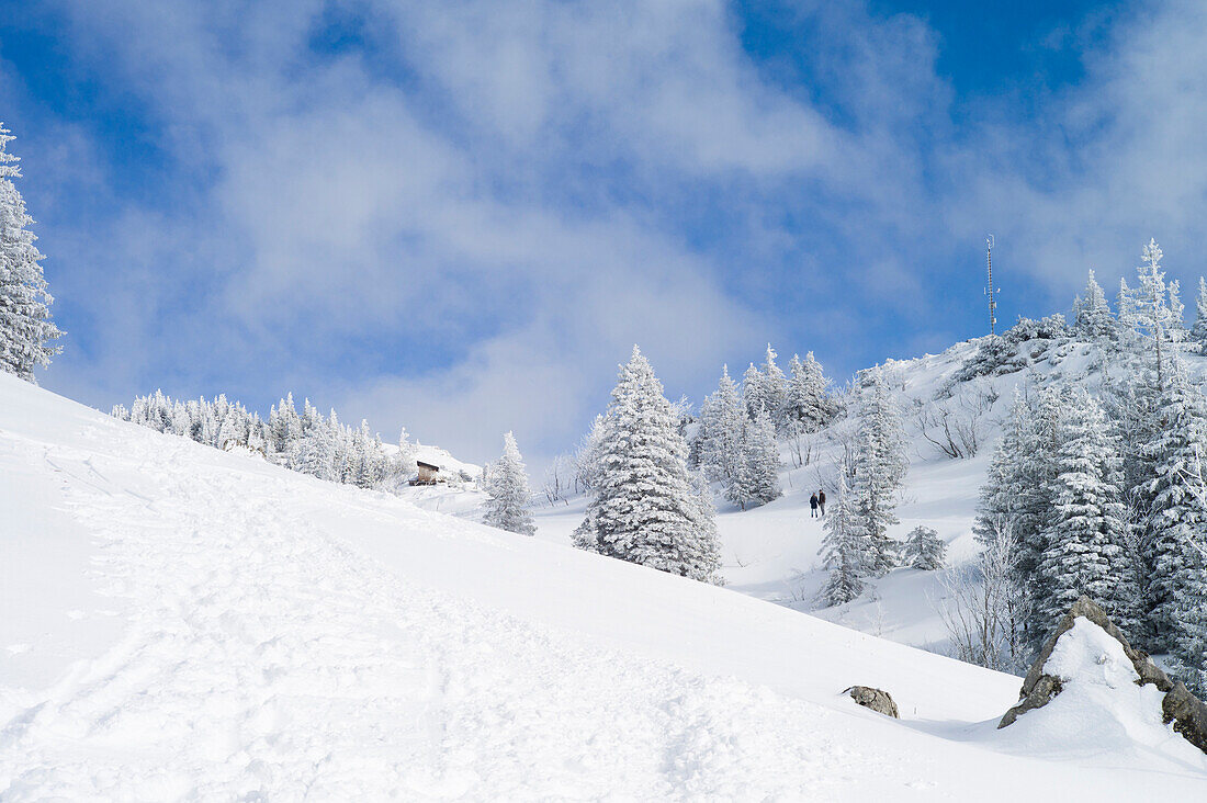 Schneelandschaft in den Bergen, Kampenwand, Alpen, Bayern, Deutschland
