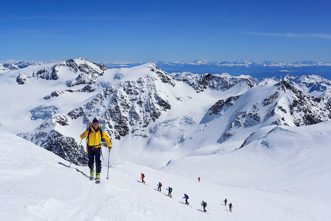 Mehrere Personen auf Skitour steigen zur Punta San Matteo auf, Monte Vioz im Hintergrund, Punta San Matteo, Val dei Forni, Ortlergruppe, Lombardei, Italien