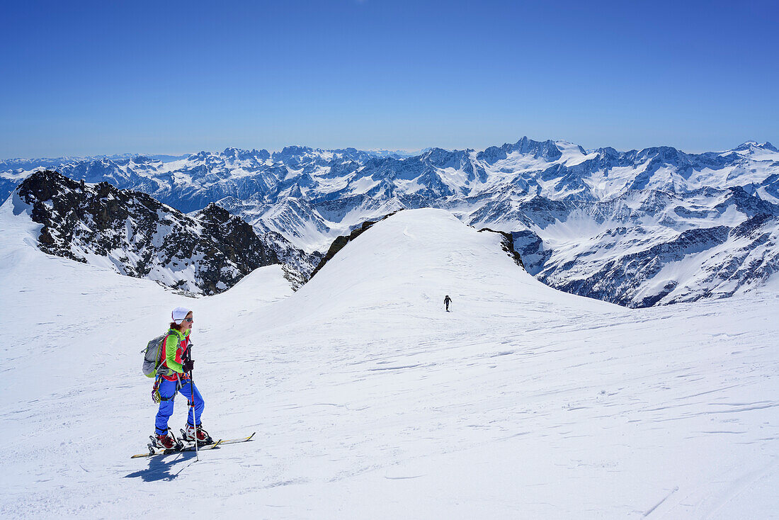 Woman back-country skiing ascending towards Punta San Matteo, Brenta and Presanella in the background, Punta San Matteo, Val dei Forni, Ortler range, Lombardy, Italy