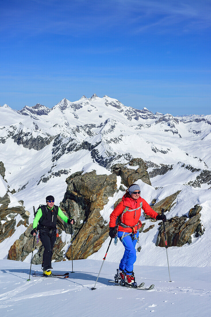 Two persons back-country skiing ascending towards Dreiherrnspitze, Gabler and Reichenspitze in background, Dreiherrnspitze, valley of Ahrntal, Hohe Tauern range, South Tyrol, Italy