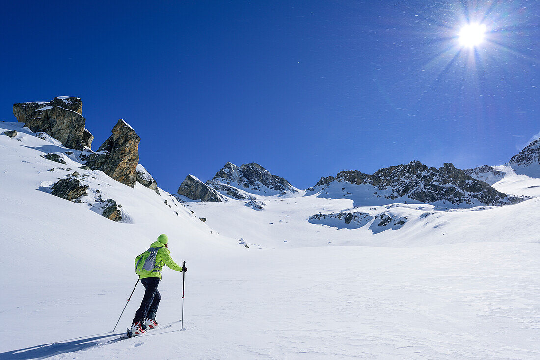 Woman back-country skiing ascending towards Colle di Vers, Rocca La Marchisa in the background, Colle di Vers, Valle Varaita, Cottian Alps, Piedmont, Italy