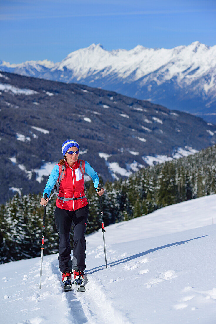 Woman back-country skiing ascending towards Gilfert, Karwendel range in background, Gilfert, Tux Alps, Tyrol, Austria