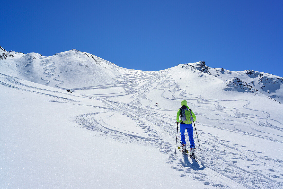 Frau auf Skitour steigt zur Halslspitze auf, Halslspitze, Tuxer Alpen, Tirol, Österreich