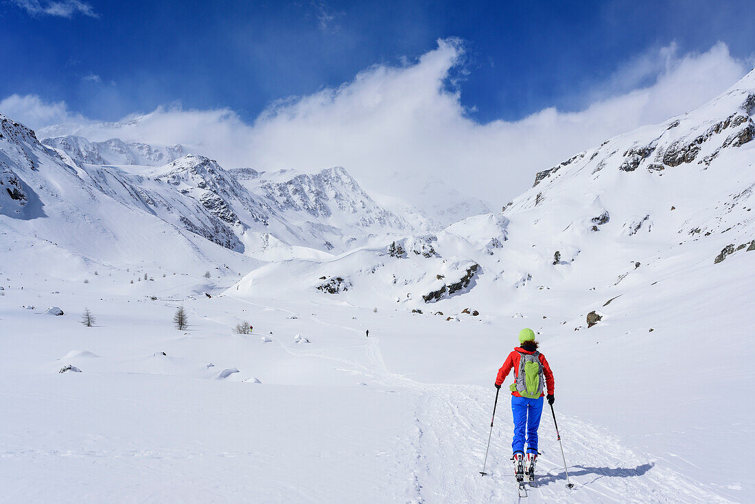 Woman back-country skiing ascending towards Madritscherspitze, Madritscherspitze, valley of Martell, Ortler range, South Tyrol, Italy