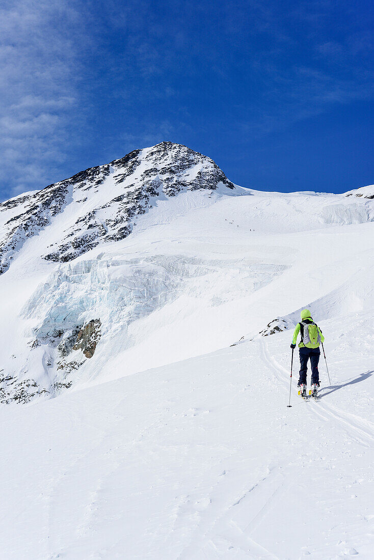 Frau auf Skitour steigt zum Pizzo Tresero auf, Pizzo Tresero, Val dei Forni, Ortlergruppe, Lombardei, Italien