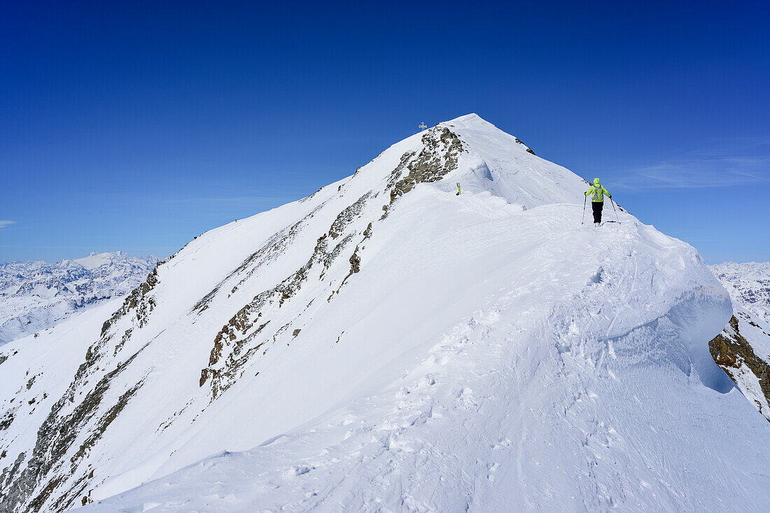 Woman back-country skiing ascending on ridge towards Pizzo Tresero, Pizzo Tresero, Val dei Forni, Ortler range, Lombardy, Italy