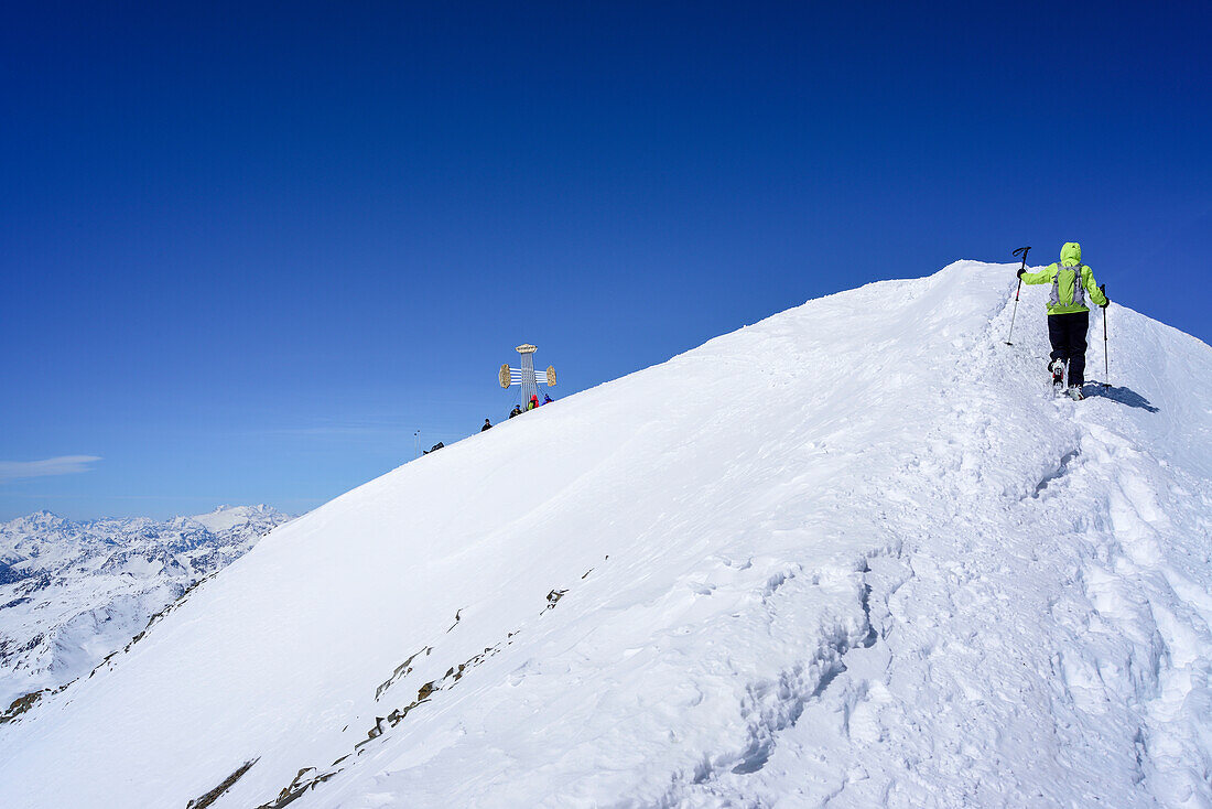 Woman back-country skiing ascending on ridge towards Pizzo Tresero, Pizzo Tresero, Val dei Forni, Ortler range, Lombardy, Italy