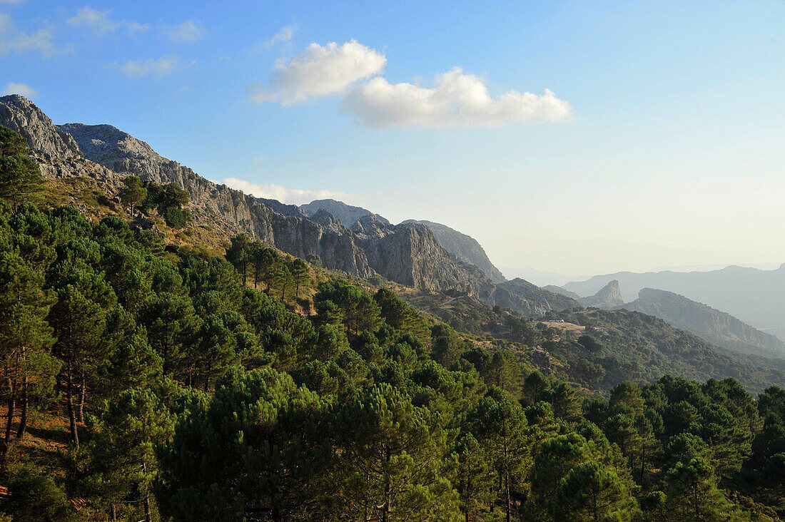 Salto de Cabrero im Grazalema Naturpark, Sierra de Grazalema, Andalusien, Spanien