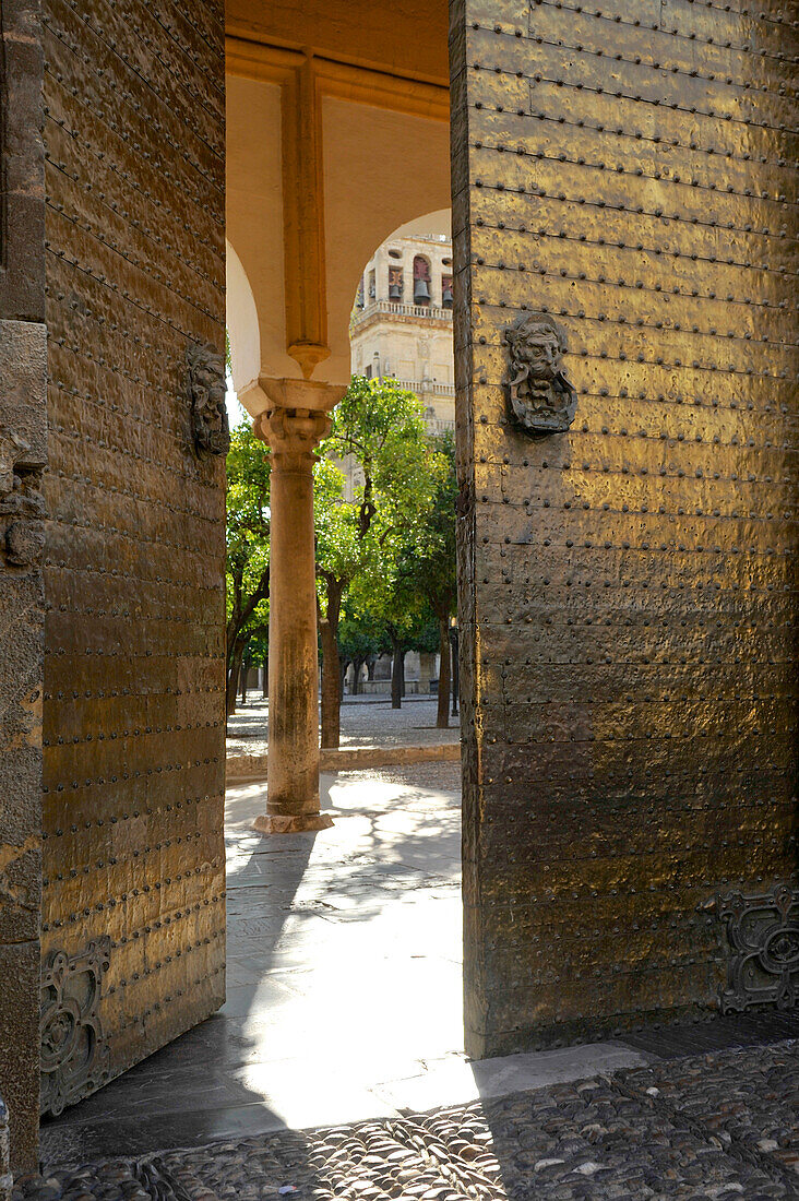 Gate into the garden of the Mezquita, Cordoba, Andalusia, Spain