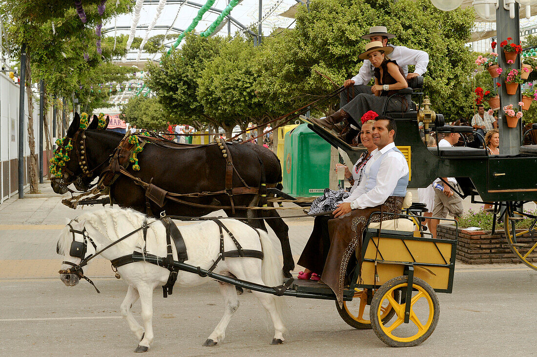 Ganz kleines und großes Pferdegespann auf auf der Feria, Malaga, Andalusien, Spanien