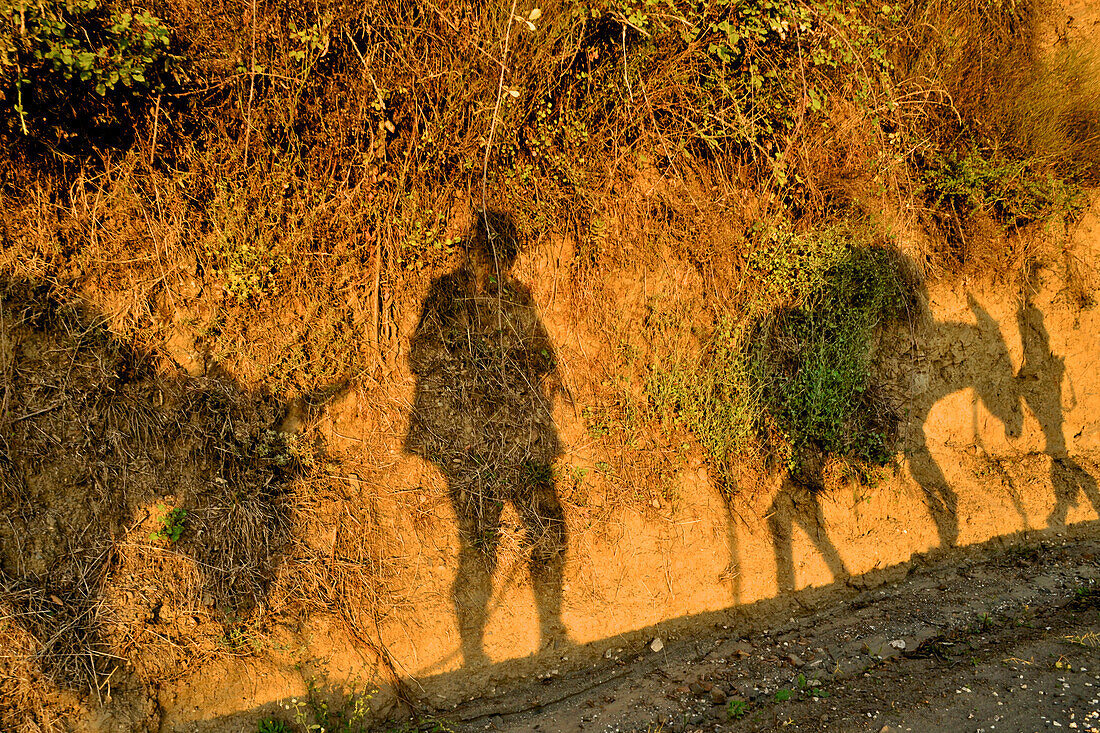 Schatten an der Wand von zwei Männern und zwei Eseln, Männer mit Ihren zwei Andalusischen Rieseneseln in der Serrania de Ronda, Andalusien, Spanien, Europa