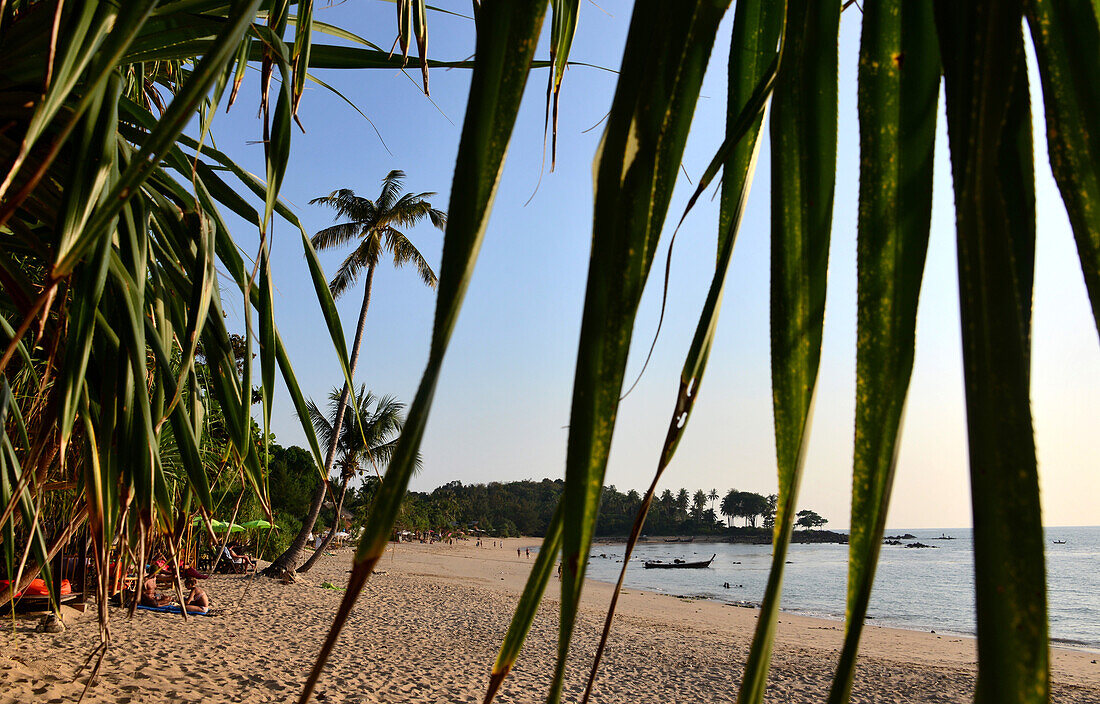 Palmenstrand, Phra Ae Longbeach, Ko Lanta, Andaman Sea, Thailand, Asien