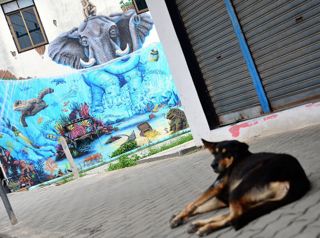 Wandmalerei und Strassenhund in Thong Sala, Südküste, Insel Pha Ngan, Golf von Thailand, Thailand