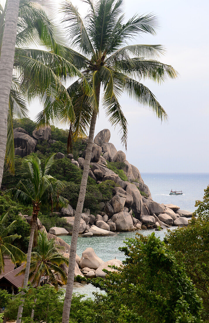 am Strand Chalok Ban Kao, Südküste, Insel Tao, Golf von Thailand, Thailand