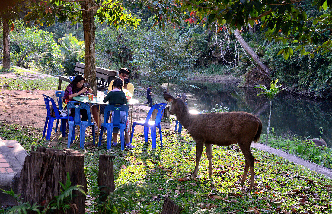 Im Nationalpark Khao Yai, Mittel-Thailand, Thailand