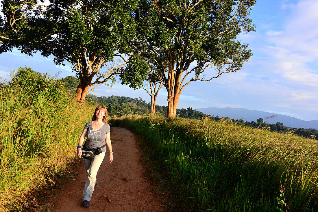 Naturpfad im Khao Yai National Park, Mittel-Thailand, Thailand