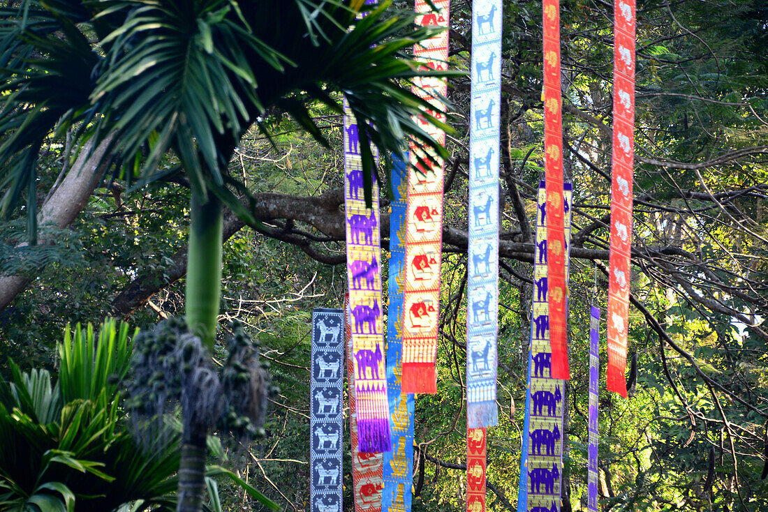 Doi Tung mit Mae Fah Luang-Palastgarten bei Mae Sai, Nord-Thailand, Thailand