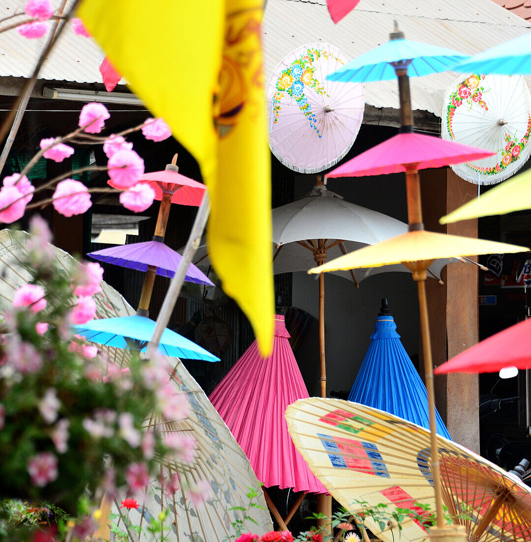 Umbrellas near Chiang Mai, North-Thailand, Thailand