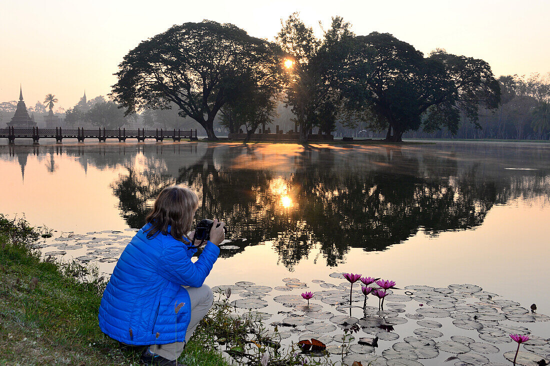 Sunrise and reflection of trees in a lake, Old-Sukhothai, Thailand