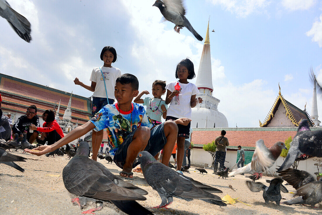 Junge füttert Vögel in Wat Phra Mahathat, Nakhon Si Thammarat, Süd-Thailand, Thailand