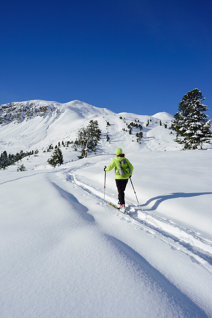 Woman back-country skiing ascending towards Munt Buffalora, Munt Buffalora, Ofenpass, Sesvenna range, Engadin, Grisons, Switzerland