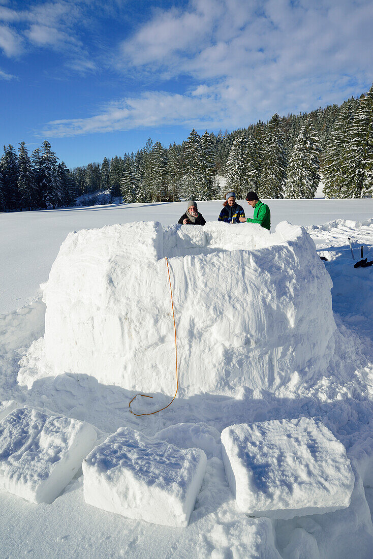 Drei Personen bauen Iglu, Chiemgauer Alpen, Chiemgau, Oberbayern, Bayern, Deutschland