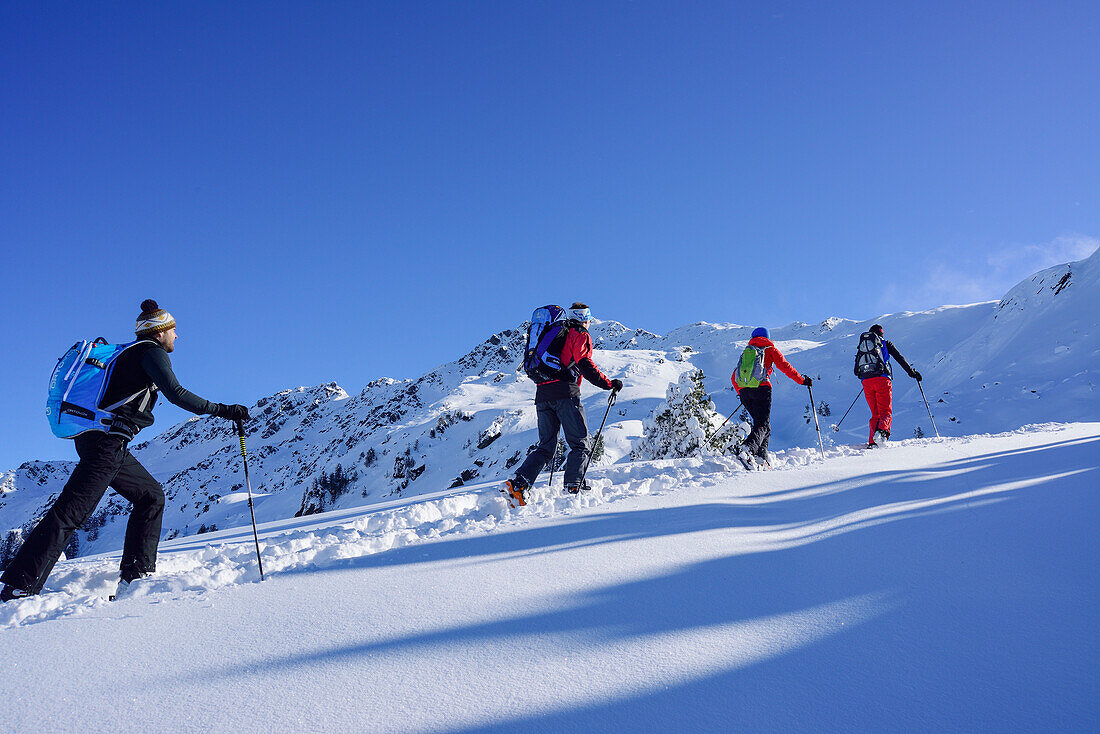 Group of persons back-country skiing ascending towards Pallspitze, Pallspitze, Langer Grund, Kitzbuehel range, Tyrol, Austria