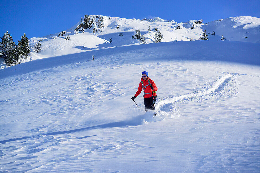 Woman back-country skiing downhill through powdersnow, Pallspitze, Langer Grund, Kitzbuehel range, Tyrol, Austria