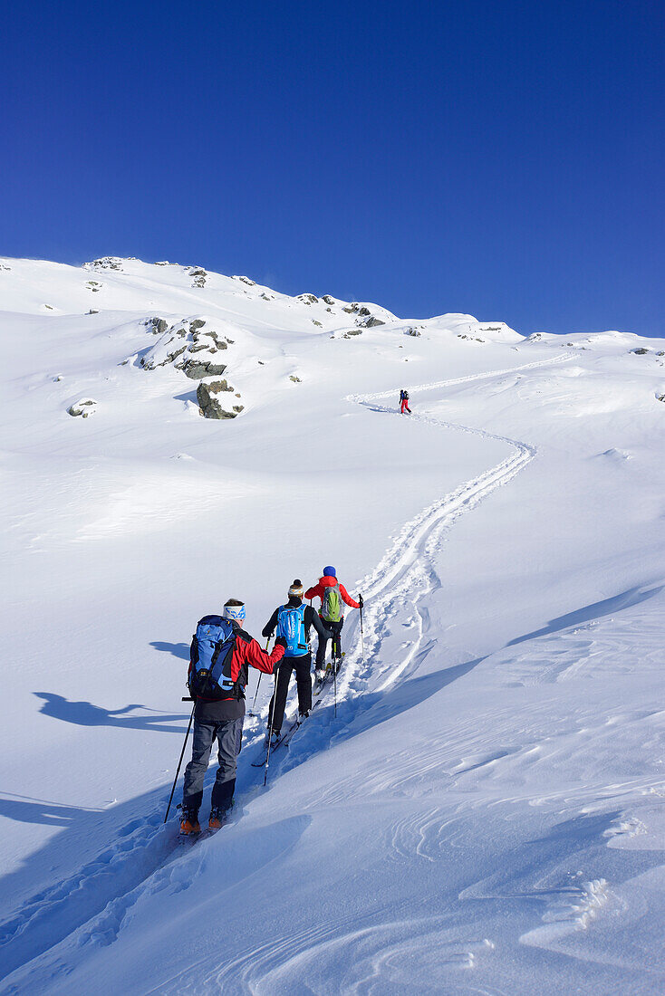 Group of persons back-country skiing ascending towards Pallspitze, Pallspitze, Langer Grund, Kitzbuehel range, Tyrol, Austria