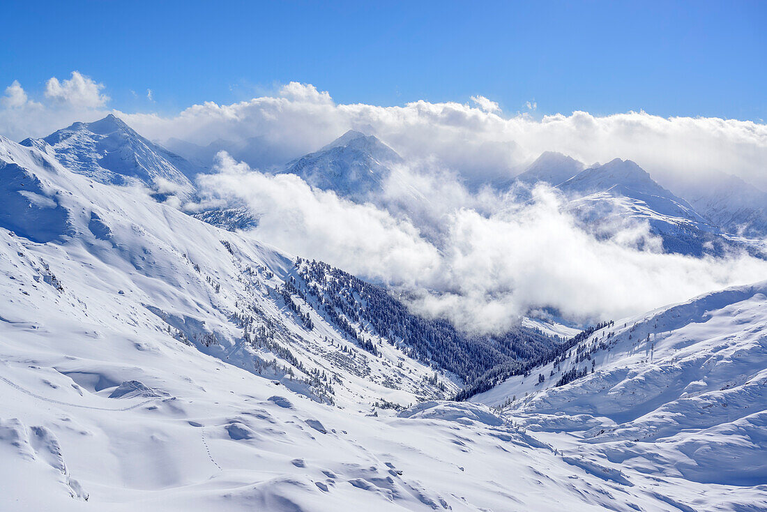 Blick auf Zillertaler Alpen mit Wildkarspitze, Gabler und Reichenspitze von der Pallspitze, Pallspitze, Langer Grund, Kitzbüheler Alpen, Tirol, Österreich