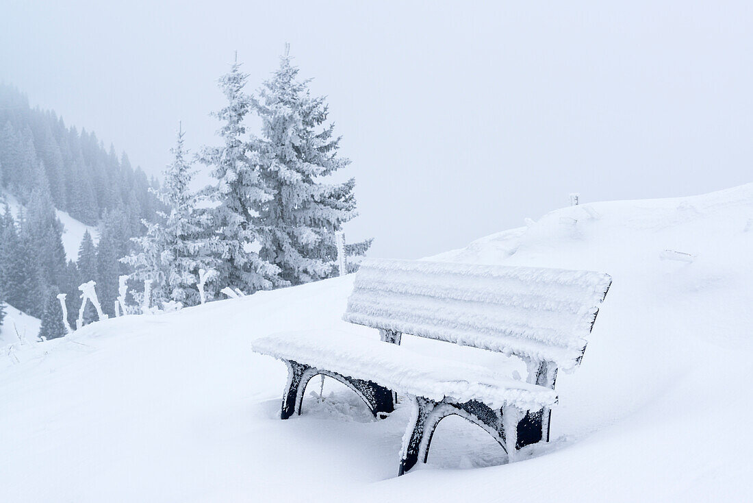 Snow-covered bench, Wallberg, Bavarian Alps, Upper Bavaria, Bavaria, Germany