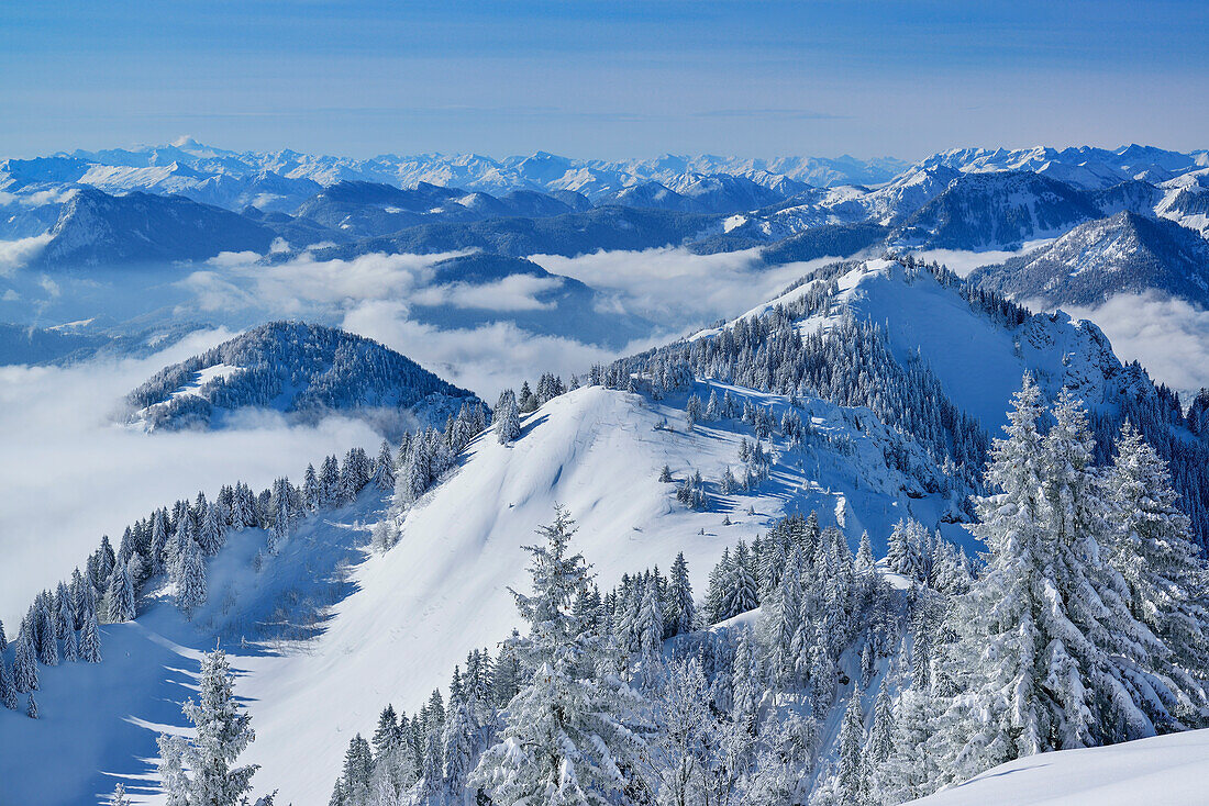 Blick auf Karkopf, Feichteck und Mangfallgebirge im Hintergrund, Hochries, Samerberg, Chiemgauer Alpen, Chiemgau, Oberbayern, Bayern, Deutschland