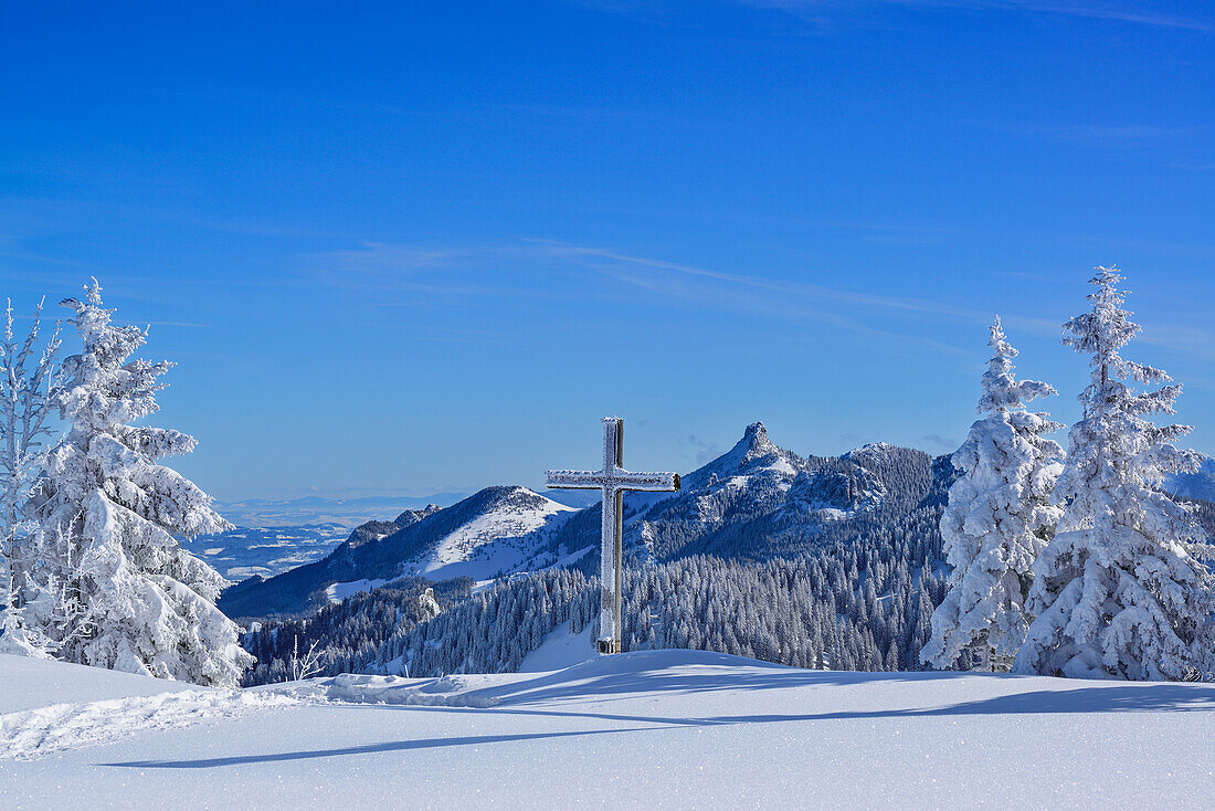 Snow-covered trees and cross with view to Chiemgau range with Kampenwand, Hochries, Samerberg, Chiemgau range, Chiemgau, Upper Bavaria, Bavaria, Germany