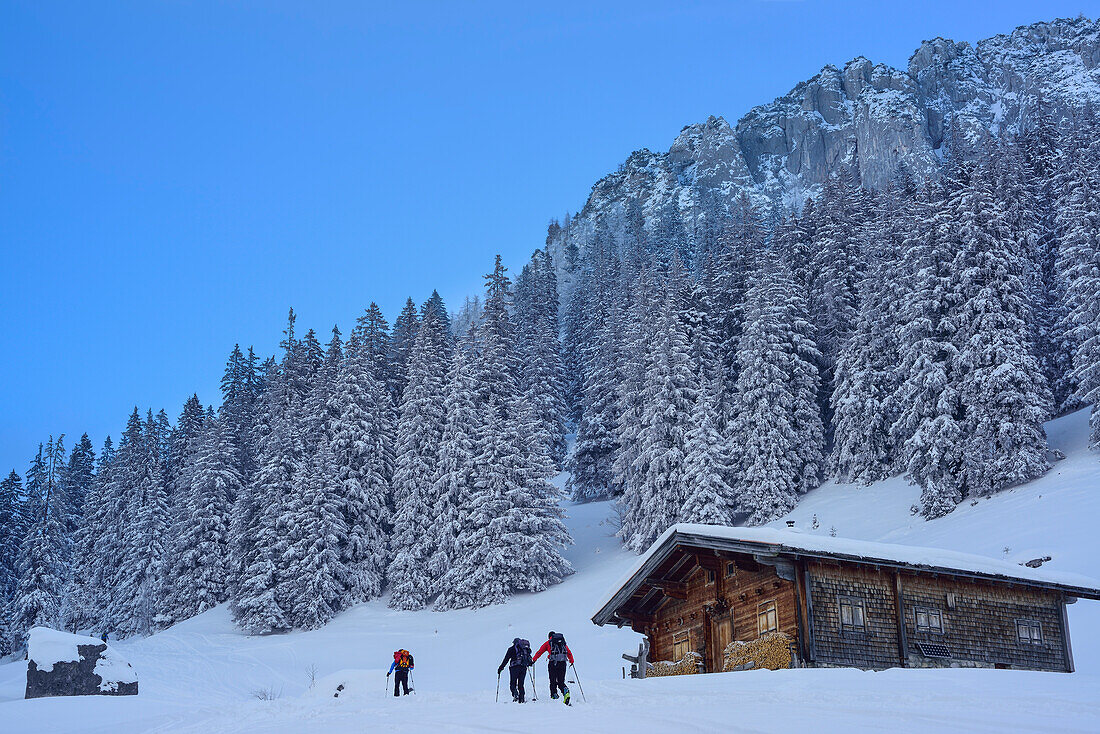Three persons back-country skiing ascending past alpine hut towards Sonntagshorn, Sonntagshorn, Chiemgau range, Salzburg, Austria