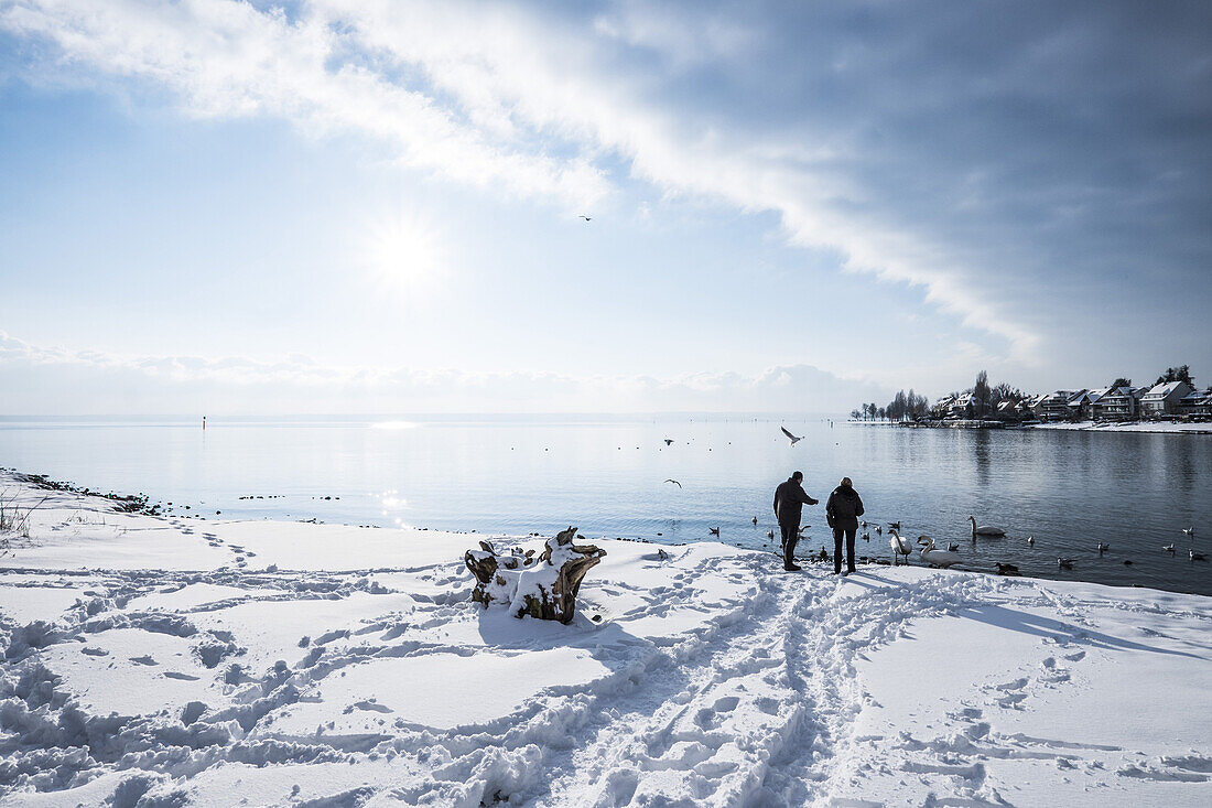 Winter view over the lake Bodensee at Immenstaad, lake Bodensee, Baden-Wuerttemberg, south Germany, Germany