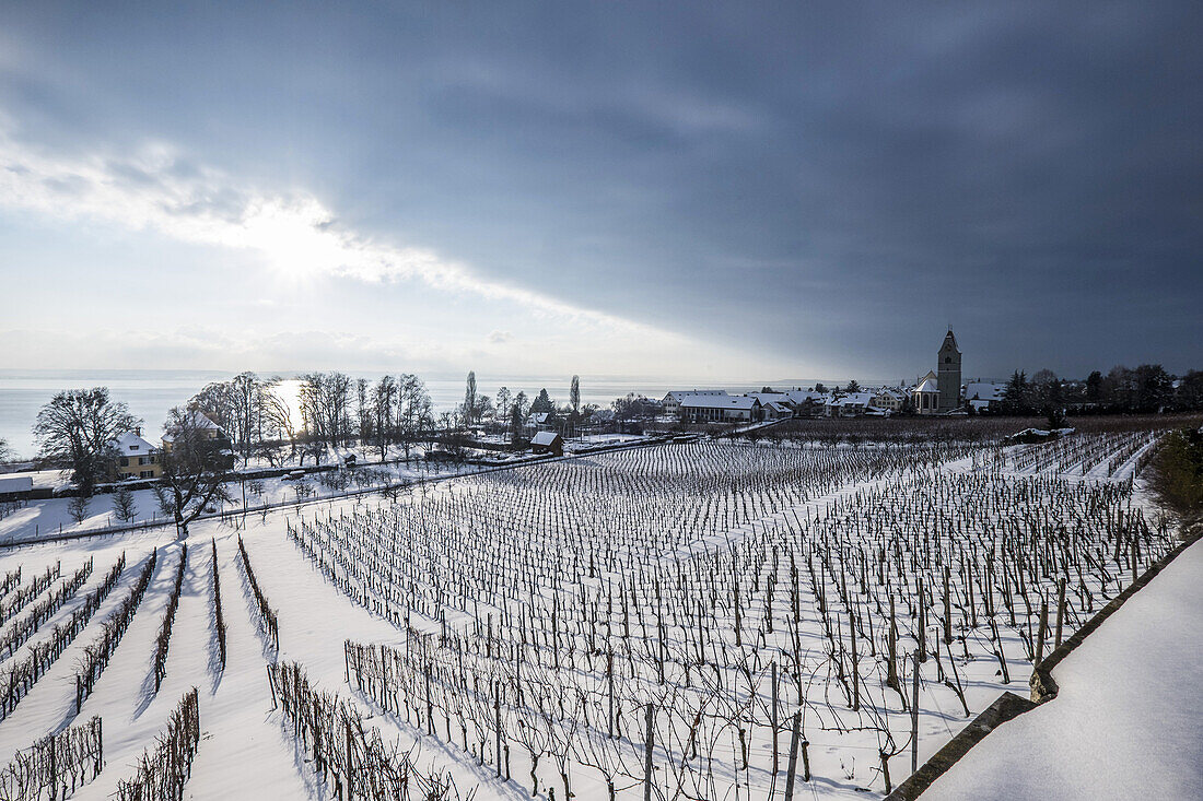 view to Hagnau in Winter, lake Bodensee, Baden-Wuerttemberg, South Germany, Germany