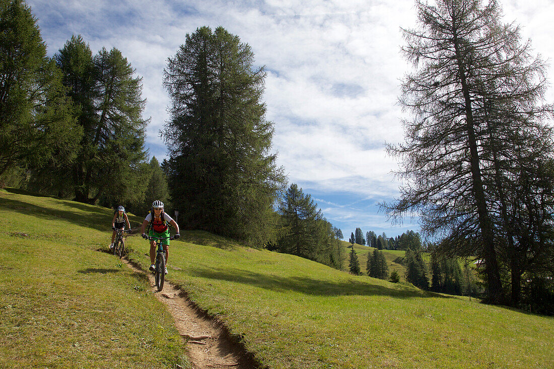 two mountain bikers on a single-trail, Trentino Italy