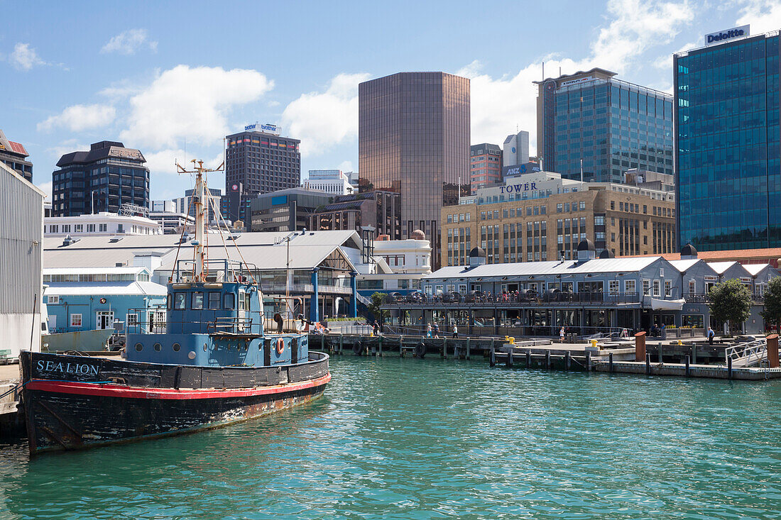 Wellington, North Island, New Zealand