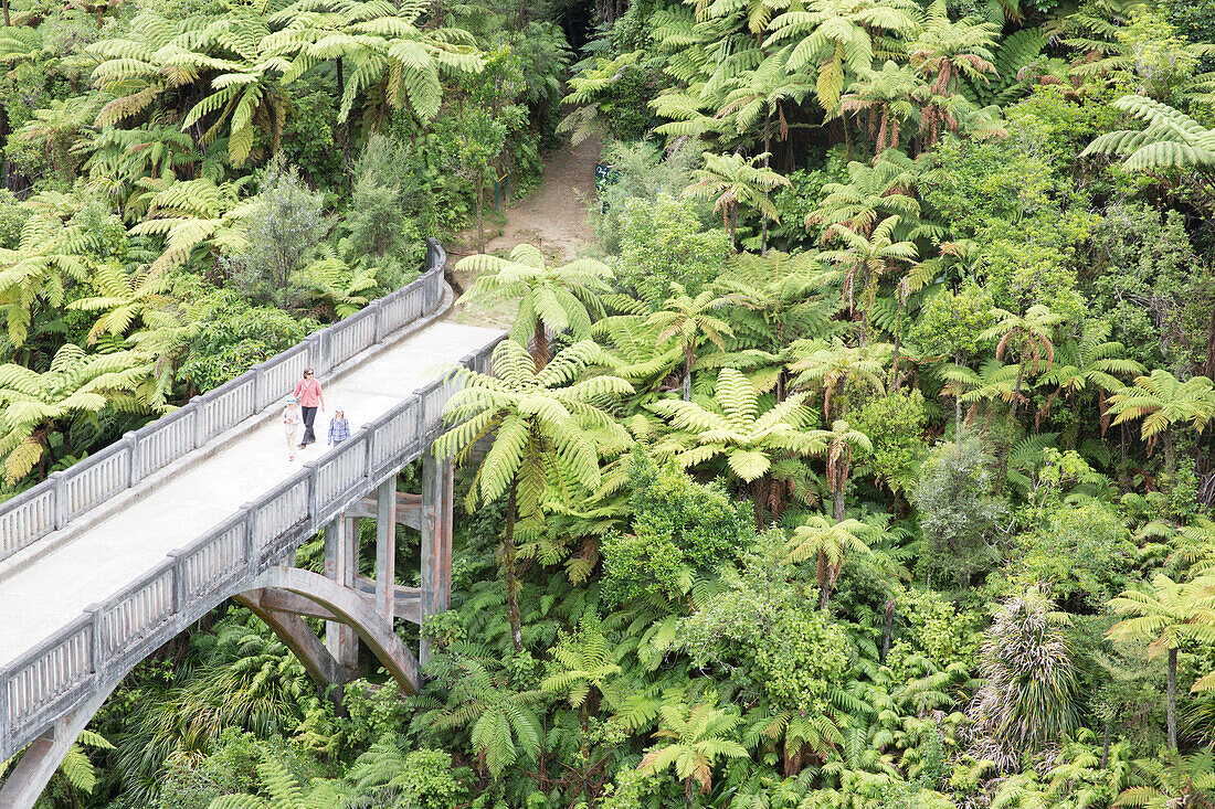 The Bridge to Nowhere. Kanu Trekking auf dem Whanganui River, North Island, Neuseeland