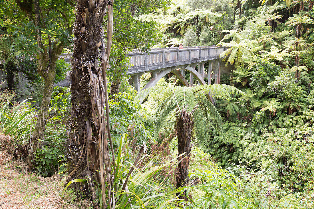 The Bridge to Nowhere, Kanu Trekking auf dem Whanganui River, North Island, Neuseeland