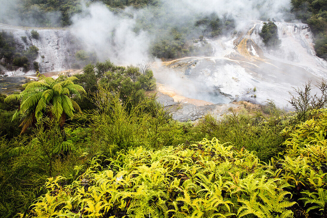 Sinter terraces at Orakei Korako (Hidden Valley) geothermal area, Taupo Volcanic Zone, North Island, New Zealand