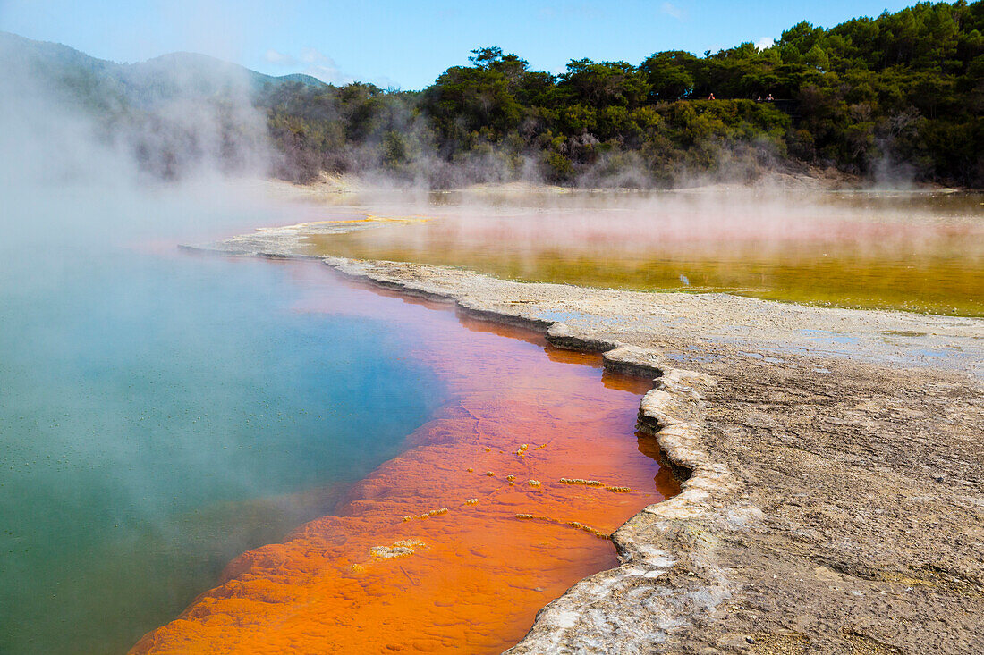 Champagne Pool, Thermal Wonderland, Wai-O-Tapu, Rotorua. Nordinsel, Neuseeland