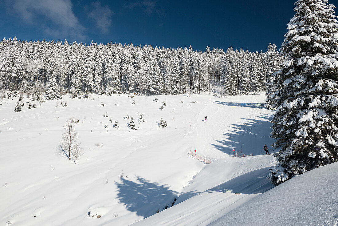 verschneite Landschaft, Todtnauberg, Schwarzwald, Baden-Württemberg, Deutschland