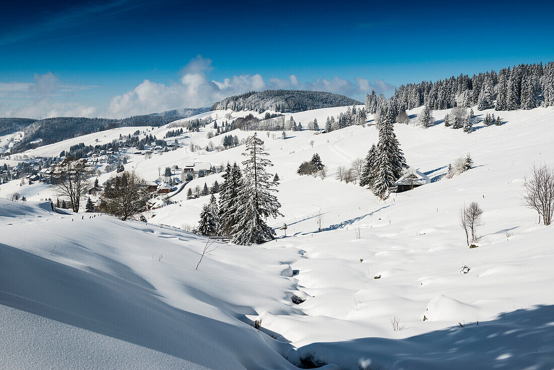 verschneite Landschaft, Todtnauberg, Schwarzwald, Baden-Württemberg, Deutschland