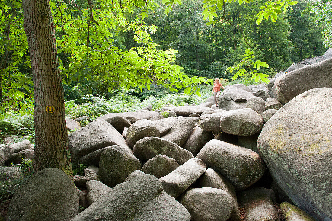 Rocks, Felsenmeer Lautertal, Lautertal, Odenwald, Hesse, Germany