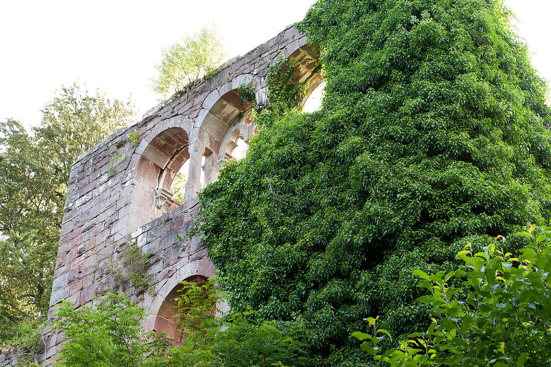 Wildenburg castle ruins, Kirchzell, Odenwald, Bavaria, Germany